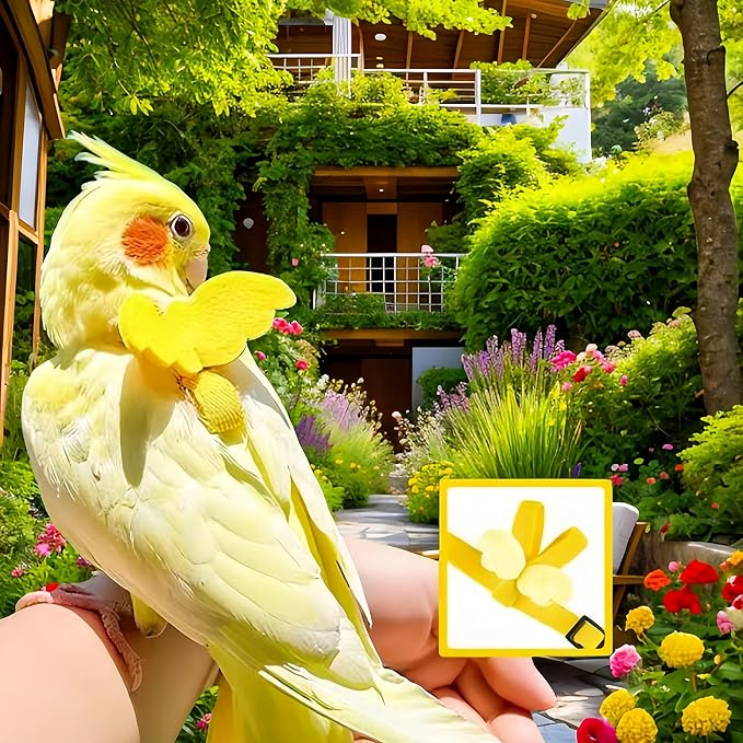 3 Sets Pet Parrot Bird Harness and Leash with Cute Wing, Adjustable Bird Flying Harness Straps Outdoor Training Traction Rope for Parrots Pigeons Lovebird Cockatiel(L,Pink, Yellow&Purple)