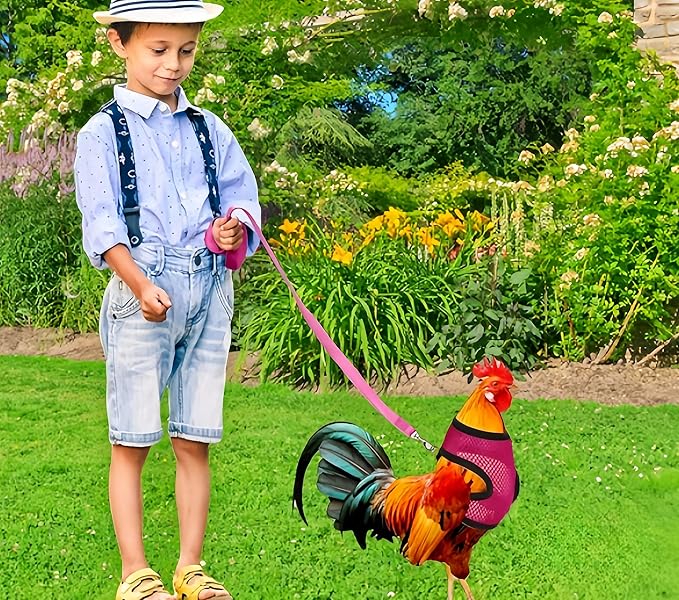 3 Pack Chicken Harness and Leash Set Adjustable Hen Vest with Matching Belt Breathable Mesh Training Harness Pets Leash for Hens Duck Goose Small Pet-Black&Red&Pink,L