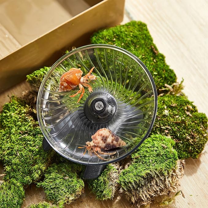 Poen Hermit Crabs Wheel Toy, Silent Hamster Running Wheel Toys, Tank Accessories, Small Animals Cage Accessory for Hermit Crab Hamster Dwarf Rat Exercise(4.13 x 2.95 x 3.34 Inch)