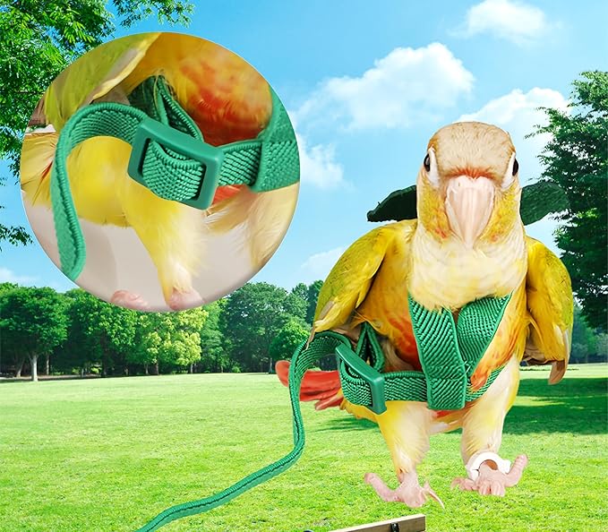 3 Sets Pet Parrot Bird Harness and Leash with Cute Wing, Adjustable Bird Flying Harness Straps Outdoor Training Traction Rope for Parrots Pigeons Lovebird Cockatiel(L,Red,Green&Blue)
