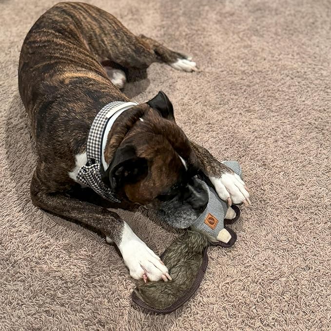 SPOT Dura-Fused Hemp Friends - Dog Toy Made with Hemp Material, Fused with Tricot for Durablity, with Furry Plush Tail and Squeaker, Great for Light to Moderate Chewers - 18" Assorted Styles, 1 Piece