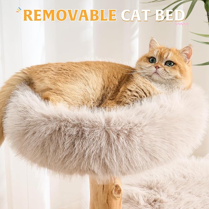 HITTITE Natural Wood Cat Tree Tower with Scratching Post, 40 Inches Tall Modern Cat Tower with Cozy Bed and Condo, Luxury Real Branch Cat Tree for Indoor Cats Large Adult, Khaki.
