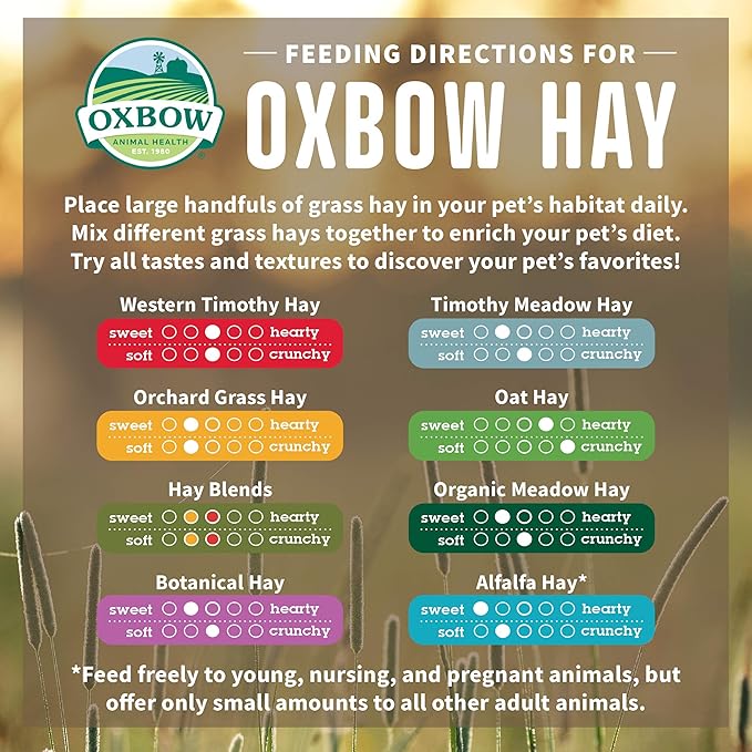 Oxbow Organic Meadow Hay, Guinea Pig & Rabbit Hay, Small Pet Bunny Supplies, All Natural Grass for Guinea Pig, Bunny, Chinchilla & Hamster, Rabbit Supplies for Bunnies, 40 oz Bag