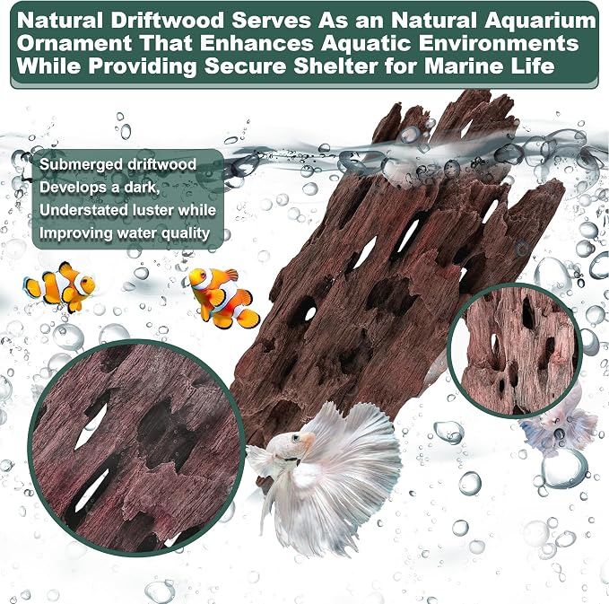 Natural Wood Driftwood for Aquarium Fish Tank Decor,Assorted Driftwood Trunk Branch for Reptile Tank Decor (SHP-XM Driftwood (6 to10 Inch)-Pack of 2)