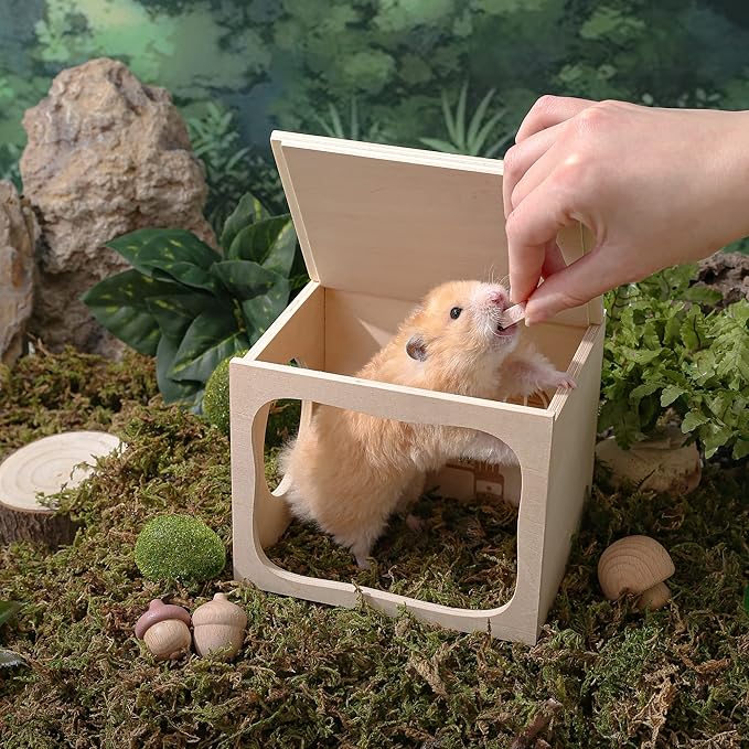 Hamster Hideout Wooden House Chamber Small Animals Pets Tunnel Exploring Toys Secret Peep Shed for Dwarf Hamsters, Syrian Hamsters, Gerbils, Hedgehogs, Rats, Mice (Bedroom)