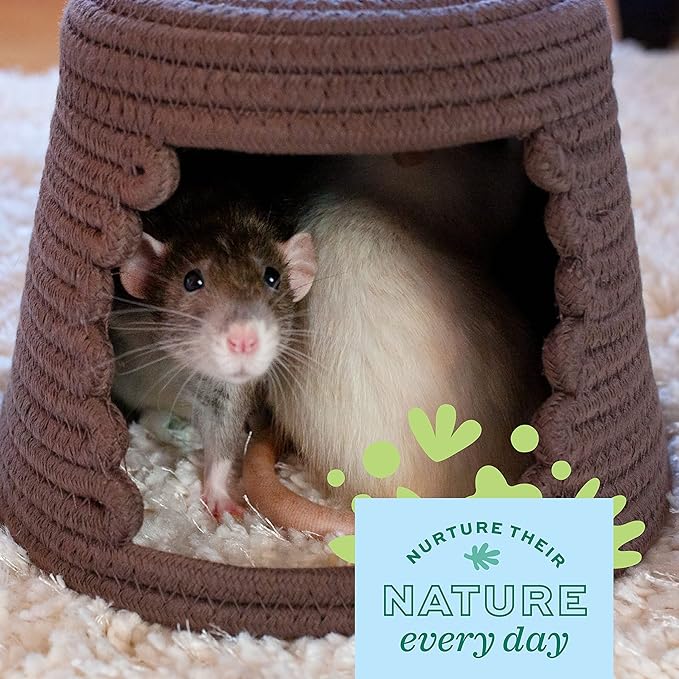 Oxbow Timothy Hay Mat – Edible Habitat Accessory for Rabbits, Guinea Pigs, Chinchillas & Rats – Hand-Woven Natural Mat and Chew, Cage Enrichment for Dental Health, Comfort & Instinctual Play, Large