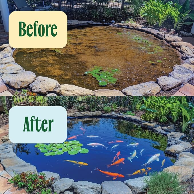 Koi Pond Water Treatment - 2X Strength Beneficial Bacteria for Reducing Sludge and Odors in Koi Ponds and Natural Ponds - Safe for Fish - 1 gal.