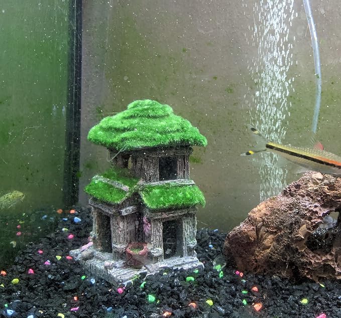 AWXZOM Fish House - Aquarium Decoration with Lifelike Moss, Comes with 2x Artificial Plants