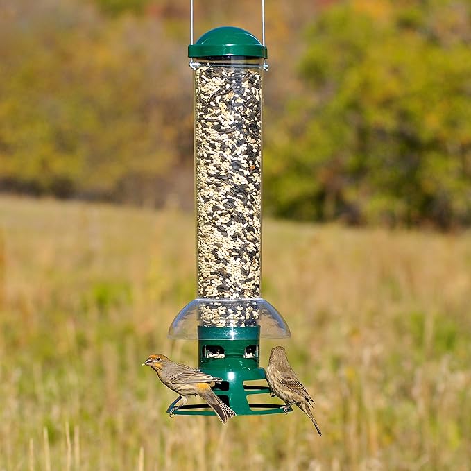 Perky-Pet 5141-2 Squirrel Slammer Wild Bird Feeder , Green