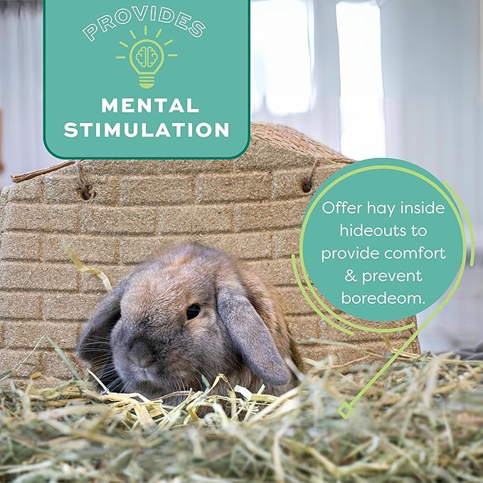 Oxbow Timothy Hay, Rabbit & Guinea Pig Hay, High Fiber for Digestive Health, Grown in the USA, Veterinarian Recommended Small Pet Supplies, for Rabbits, Guinea Pigs, & Chinchillas, 15 oz.