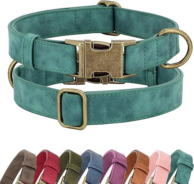 Didog Soft PU Leather Dog Collar, Stylish Quick Released Dog Collars for Small Dogs, Easy Clean Adjustable Pet Collar for Daily Walking, Green, S Fit 10-15" Neck