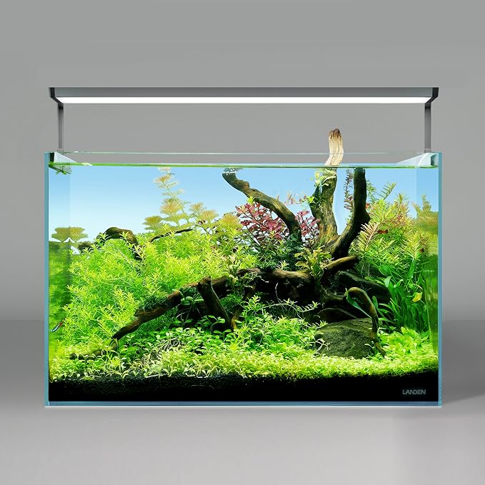 Kueiyang Hornwood Aquarium Driftwood 4pcs 12-16in Reptile Decor | Twisted branches; planted and reptile terrarium