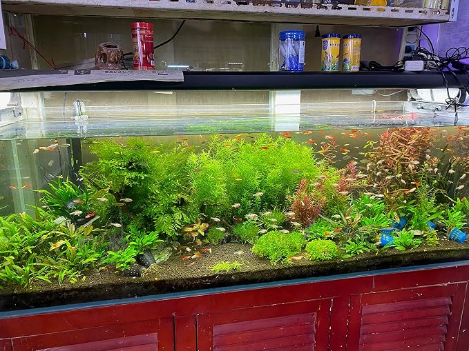 Thriva Aqua Soil Aquarium Substrate Black 20L Planted Tank Shrimp | Four 5L bags; planted, aquascaping and shrimp