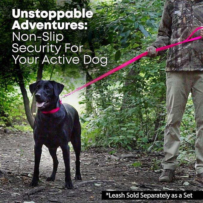 Regal Dog Products Medium Pink Waterproof Dog Collar and Leash Set | Heavy Duty Double Buckle & D Ring - 5'ft Leash | Adjustable Biothane Dog Collar | Chew Resistant Waterproof Collar for Dogs