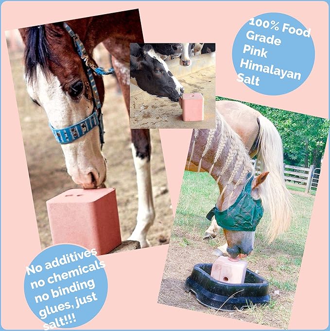Salt Block for Deer & Horses – Compressed Mineral Salt Lick for Livestock, Cattle & Goats – Himalayan Secrets Pink Rock Salt Block (11LB/5KG, Block w/ Mounting Hole)