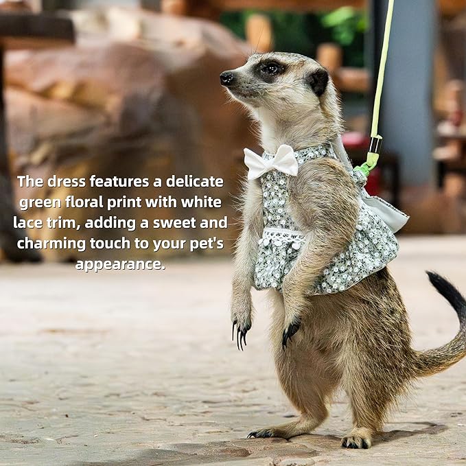 SMOLKITH Rabbit Clothes - Bunny Adjustable Green Floral Dress with Leash, Small Animal Apparel for Walking - Fits Guinea Pigs, Chinchillas, Meerkats, Prairie Dogs, Pet Rats and More