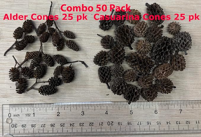 50 (25 ea) Alder & Casuarina Cone Mix, Blackwater Aquarium, Betta & Shrimp | Natural tannins Botanicals Softwater Leaf litter Shrimp habitat Biofilm surface Water enrichment Natural décor
