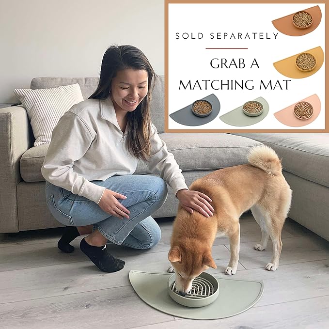 Should We Go? Slow Feeder for Dogs & Puppies, The Slowdown Bowl Silicone Slow Eating, Modern Lick Mat Design, Reduces Gulping, Fits 2 Cups, 7.5” Across x 1.5” Tall, Mealtime Challenge, Medium-Charcoal