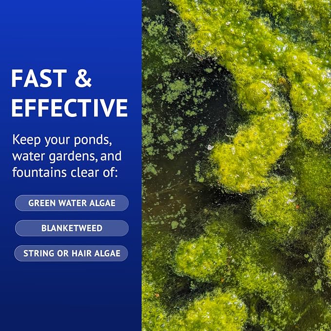 API POND ALGAEFIX (16 fl oz) Pond Algae Control - Copper Free - Clean, Clear Water - Up to 4800 Gallons - Safe for Fish & Plants - Water Gardens, Fountains - Natural Active Ingredient - EPA-Registered