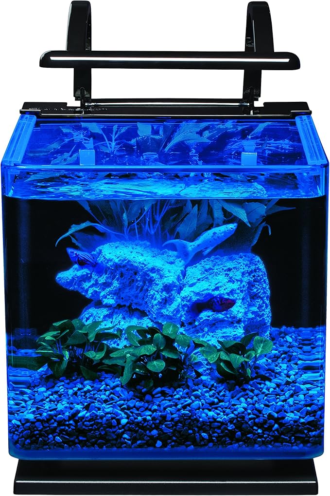 Marineland Contour 3 Aquarium Kit 3 Gallons, Rounded Glass Corners, Includes LED Lighting