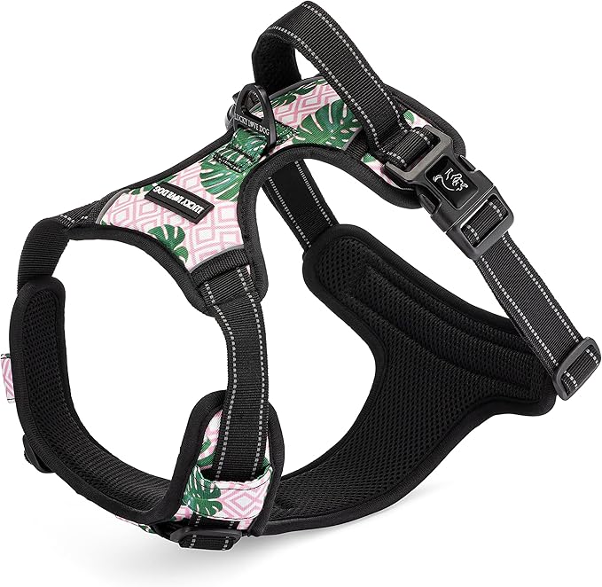 Lucky Love Dog No Pull Dog Harness, Adjustable and Easy to Walk, Cute Patterned Harness for Small Male & Female Dogs - Laguna, XS