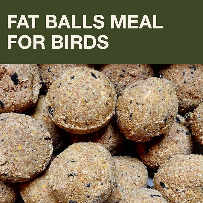 SWISSINNO Bird Feeders - No Mess Fat Ball/Suet Feeder for Outdoors Hanging - Smart Birds Lucerne Spill Proof Wild Cardinal Bird Feeder with Integrated Seed Catcher Tray - Green