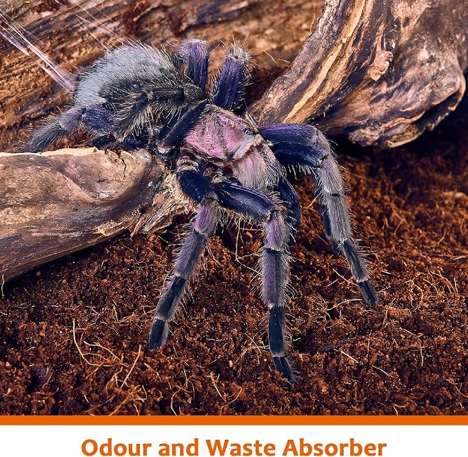Riare 2 Pack Natural Coconut Fiber Substrate, Coco Coir Reptile Bedding | Coconut Husk Reptile Substrate for Tortoises, Hermit Crabs, Snakes, Bearded Dragon, Geckos, Reptile Enclosure/Terrarium Setup