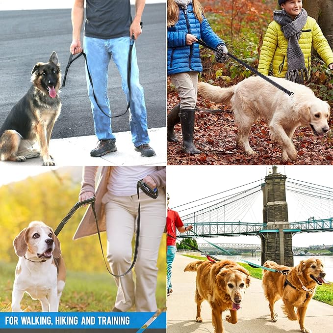 Heavy Duty Dog Leash - 2 Handles by Padded Traffic Handle for Extra Control, 6foot Long - Perfect for Medium to Large Dogs (6 ft, Bright Green)