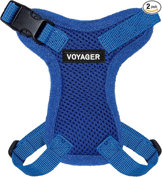 Voyager Step-in Lock Adjustable Cat Harness w. Cat Leash Combo Set with Neoprene Handle 5ft - Supports Small, Medium and Large Breed Cats by Best Pet Supplies - Royal Blue, XXXS