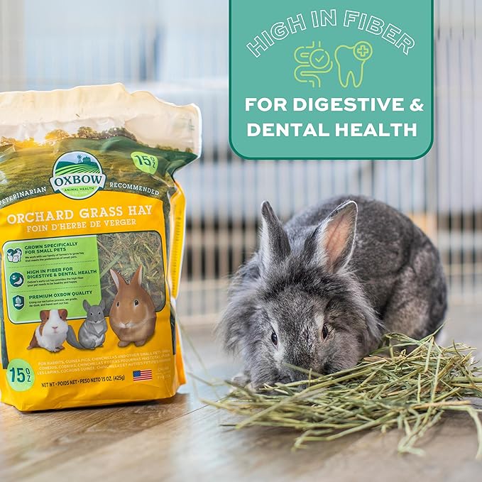 Oxbow Orchard Grass Hay for Small Pets – All-Natural Long Strand Fiber Hay for Rabbits,Guinea Pigs,Chinchillas,and Hamsters – Supports Digestive Health and Enrichment-– 40 oz Bag,(Pack of 2)