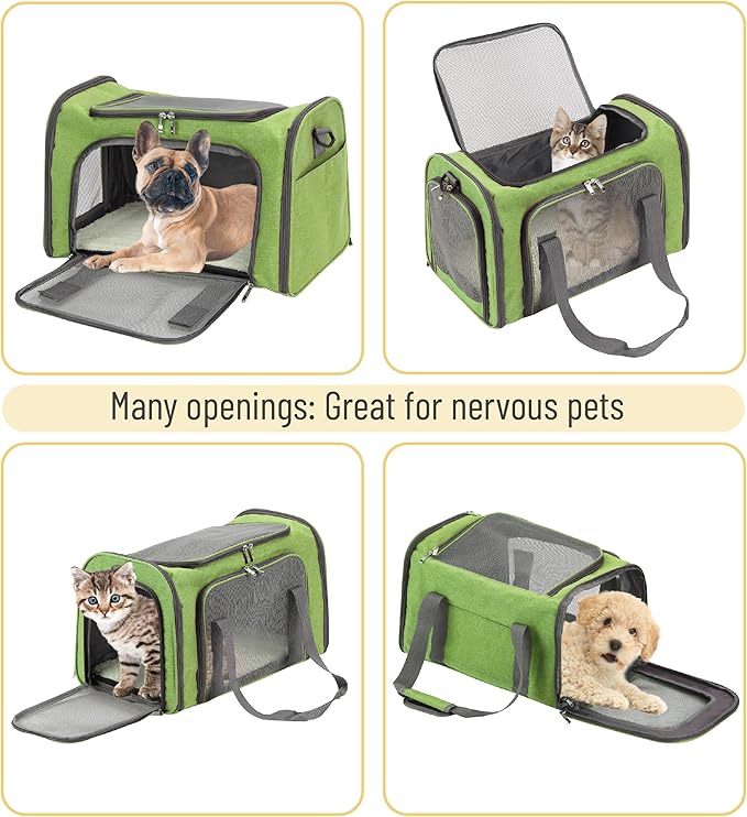 Mr. Pen- Pet Carrier, 17.5" x 11.2" x 11.5", Medium Size, Green, Portable Travel Carrier for Small Pets, Cats & Small Dogs, Breathable Mesh, Safety Inner Leash, Side Pocket & Padded Shoulder Strap
