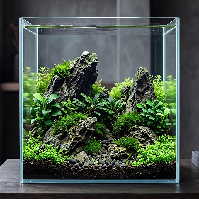 Cirrsondy 3.17 Gallon Glass Fish Tank, Low Maintenance Small Aquarium for Betta Fish, Snails, Shrimp & Aquatic Plants