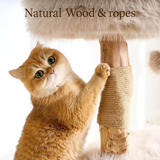 HITTITE Natural Wood Cat Tree Tower with Scratching Post, 56.8 Inches Tall Modern Cat Tower with Cozy Bed and Condo, Luxury Real Branch Cat Tree for Indoor Cats Large Adult, Khaki.