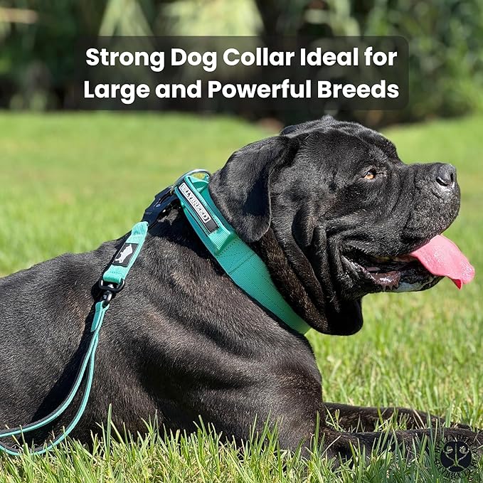 Heavy Duty Dog Collar, Tactical Dog Collar, Dog Collar for Large Dogs, Waterproof Dog Collar, Dog Training Collar, Quick-Release Metal Buckle, Adjustable Sizes – BULLYBREED (Navy Blue, Large)
