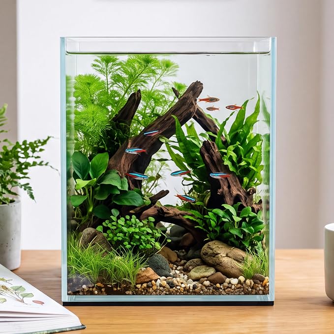 2.16 Gallon Glass Fish Tank, Low Maintenance Small Aquarium for Betta Fish, Snails, Shrimp & Aquatic Plants