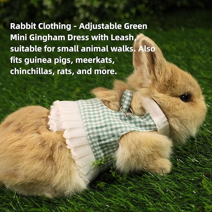 SMOLKITH Rabbit Clothes - Bunny Adjustable Checkered Dress with Leash, Small Animal Apparel for Walking - Fits Guinea Pigs, Chinchillas, Meerkats, Prairie Dogs, Pet Rats (Green Mini Gingham Dress)
