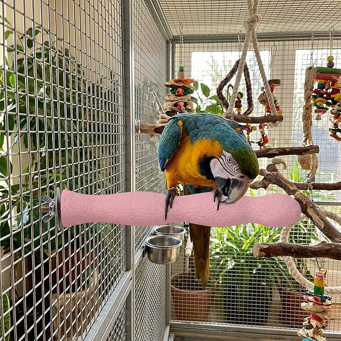 Natural Wood Bird Perch with Beak Grinding Bar, Climbing Standing Stick Cage Toy for Parakeets, Cockatiels, African Grey, Budgies & Small Parrots