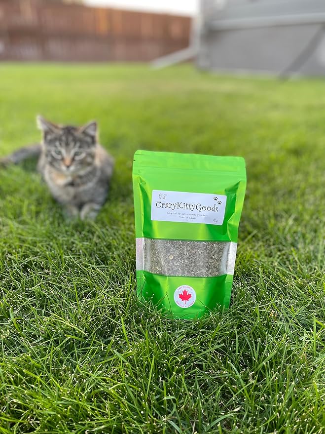 Catnip Leaf 100% Naural Grown Herb, Freshly Cut from Field. 100g/3.5oz Bags.