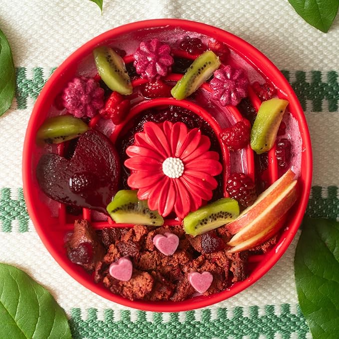 Should We Go? Slow Feeder for Dogs & Puppies, The Slowdown Bowl Silicone Slow Eating, Modern Lick Mat Design, Reduces Gulping, Fits 2 Cups, 7.5” Across x 1.5” Tall, Mealtime Challenge, Medium-Cherry