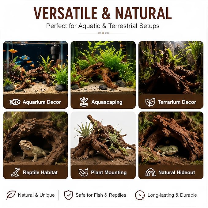 Natural Aquarium Driftwood, 12 to 15 Inch Pieces, 2 Pack, Fish Tank Decor and Aquascaping Wood for Freshwater Aquariums, Reptile Terrarium and Air Plant Display