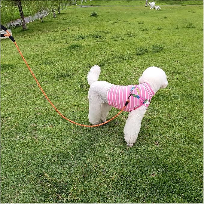 MayPaw Heavy Duty Rope Dog Leash, 3/4/5/6/7/8/10/12/15 FT Nylon Pet Leash, Soft Padded Handle Thick Lead Leashes for Large Medium Dogs (Orange, 1/2" * 8')