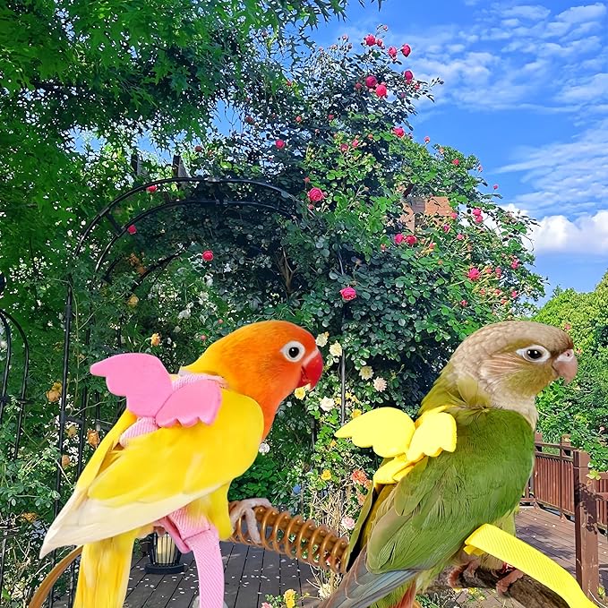 3 Sets Pet Parrot Bird Harness and Leash with Cute Wing, Adjustable Bird Flying Harness Straps Outdoor Training Traction Rope for Parrots Pigeons Lovebird Cockatiel(L,Pink, Yellow&Purple)