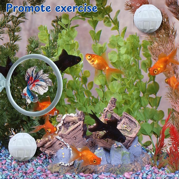 Betta Fish Exercise Ring and Filter Balls Set, Betta Ring Training Loop with Suction Cup and Nitrifying Ball, Betta Enrichment Toys, Aquarium Toys for Fish Turtle Tank Small Fish Tank (White, M-73mm)