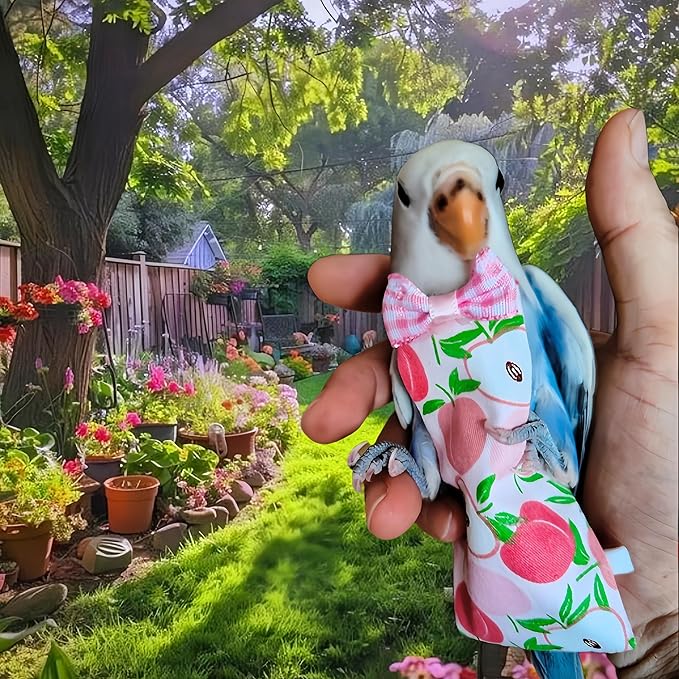 5 Pcs Bird Diapers Bird Harness Flight Suits Diapers Reusable Parrot Nappy with Waterproof Inner Layer Washable Cute Urine Wet Suit for Cockatiel Budgie Conure Macaw Parakeet Lovebird,L