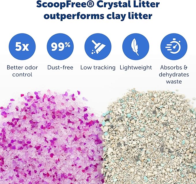 PetSafe ScoopFree Crystal Cat Litter & Refill Tray with Lid, Fragrance Free, 4.3 Lb Bag with Each Tray, Pack of 6