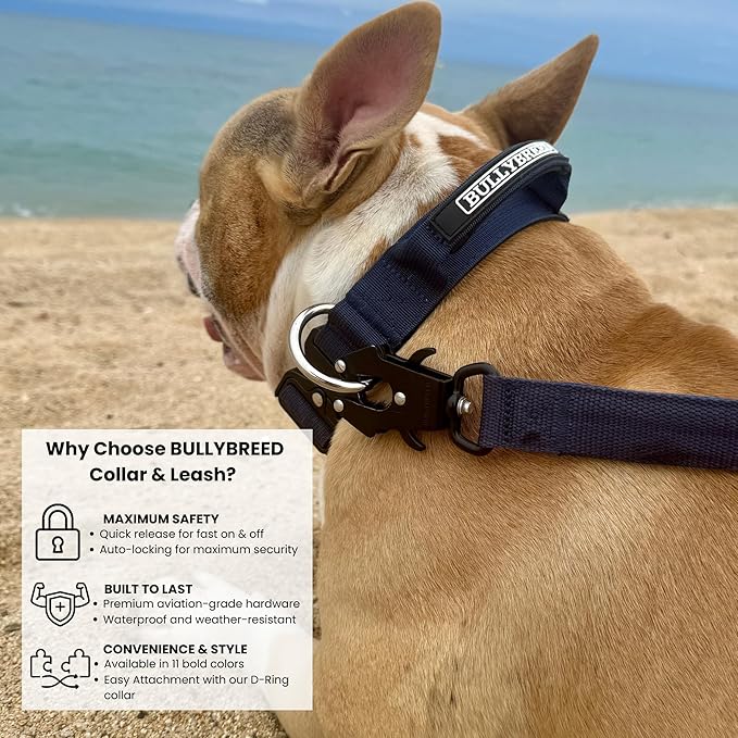 Heavy Duty Dog Collar, Tactical Dog Collar, Dog Collars for Medium Dogs, Waterproof Dog Collar, Dog Training Collar, Quick-Release Metal Buckle, Adjustable Sizes – BULLYBREED (Navy Blue, Medium)