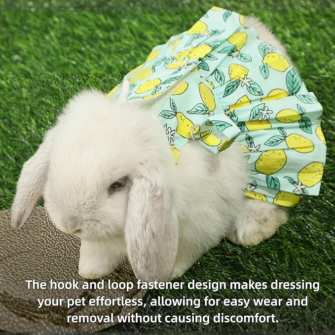 SMOLKITH Rabbit Clothes - Bunny Adjustable Summer Lemon Print Dress with Leash, Small Animal Apparel for Walking - Fits Meerkats, Chinchillas, Guinea Pigs, Marmots and More
