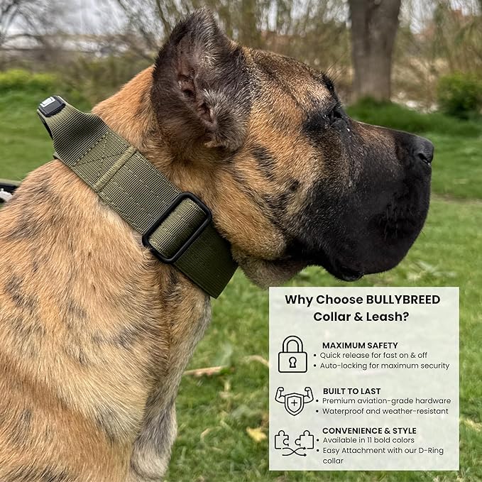 Heavy Duty Dog Collar, Tactical Dog Collar, Dog Collars for Medium Dogs, Waterproof Dog Collar, Dog Training Collar, Quick-Release Metal Buckle, Adjustable Sizes – BULLYBREED (Olive Green, Medium)