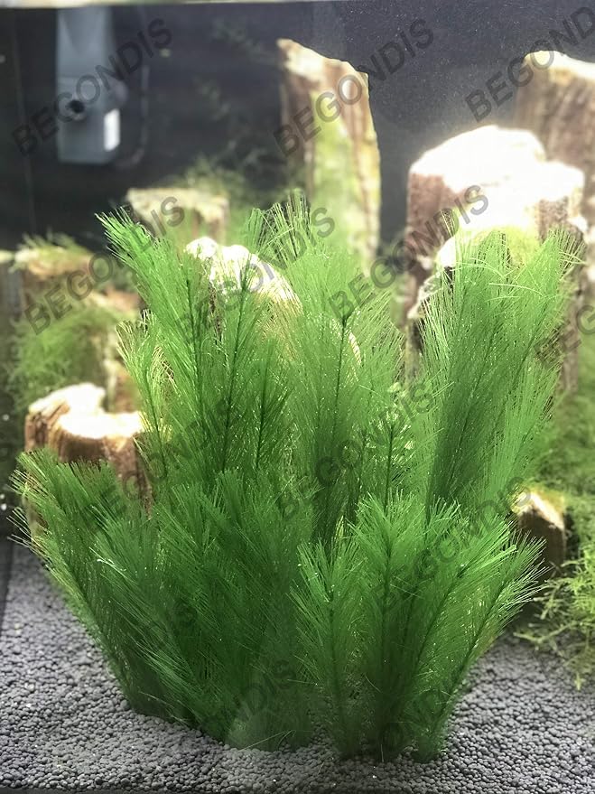 3Pcs Aquarium Decorations Fish Tank Artificial Green Water Plants Made of Silk Fabrics Plastic