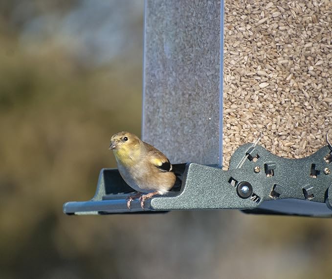 Audubon Vista Squirrel Resistant Bird Feeder Model 75160